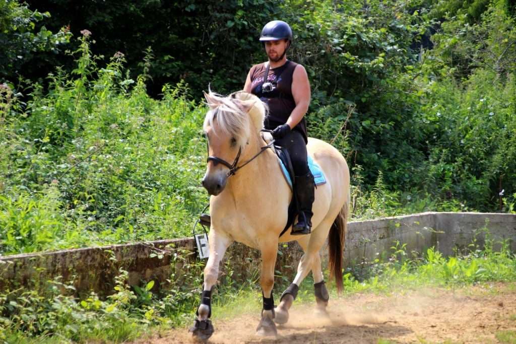 Préparer son Galop 4 : Le guide complet pour réussir la théorie et la pratique