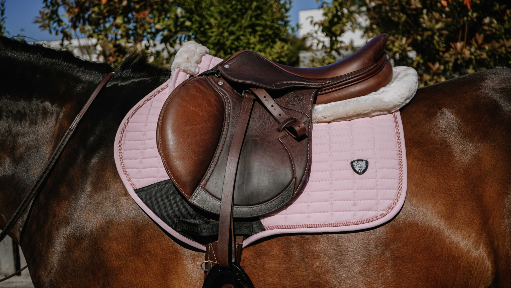 Choisir sa selle de CSO : guide d'achat pour amateur et compétiteur