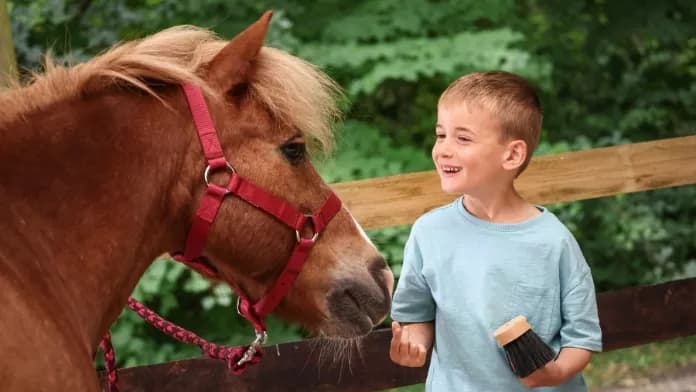 Équitation et sédentarité : Pourquoi l’équitation est le sport idéal pour la santé des jeunes
