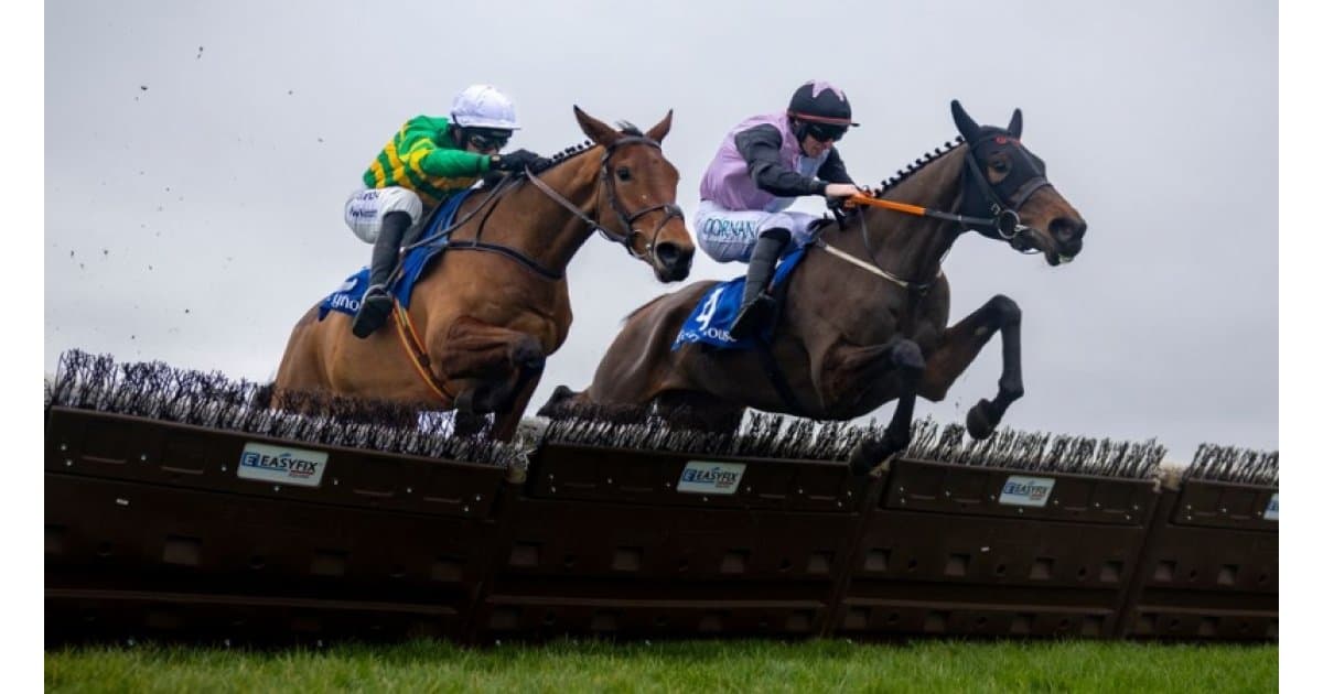 Grand National 2026 : le tremplin incontournable des jeunes talents équestres