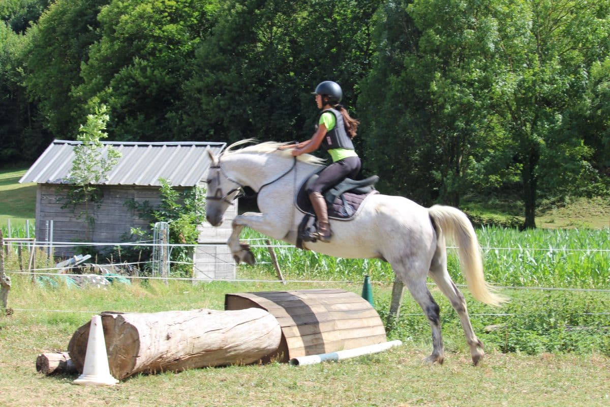 Stages d'équitation 2026 : notre sélection pour progresser à pied et à cheval